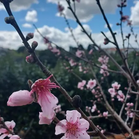Bed & Breakfast Quinta Da Pera Rocha Back Too Nature *