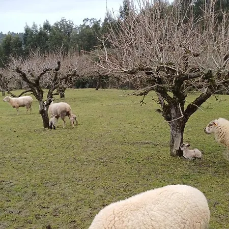 Quinta Da Pera Rocha Back Too Nature