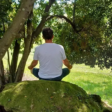 Quinta Da Pera Rocha Back Too Nature Bed & Breakfast *